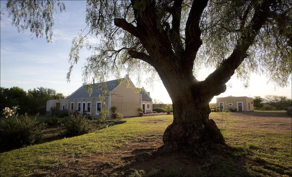 Rietfontein Ostrich Palace Vleirivier Экстерьер фото