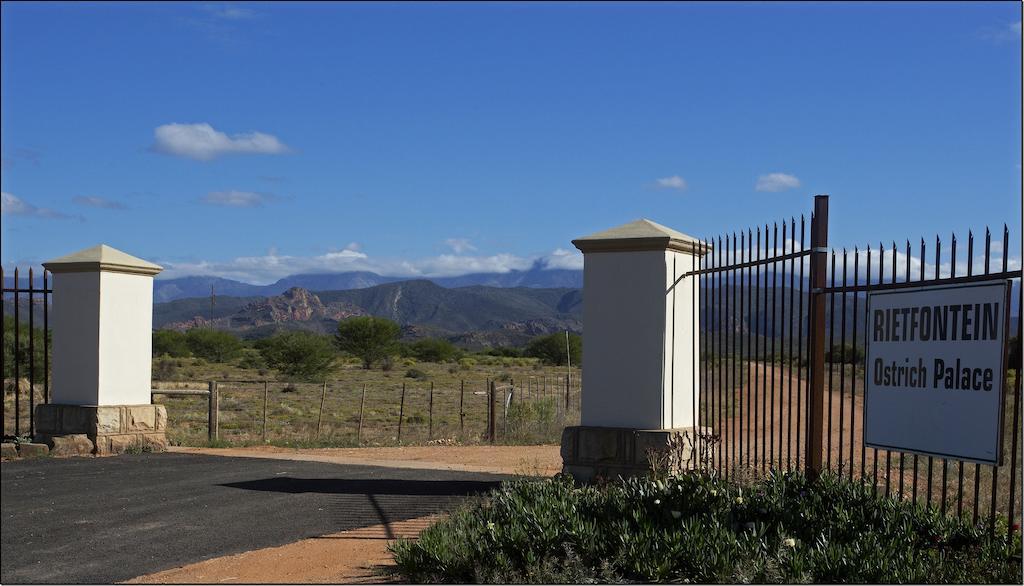 Rietfontein Ostrich Palace Vleirivier Экстерьер фото