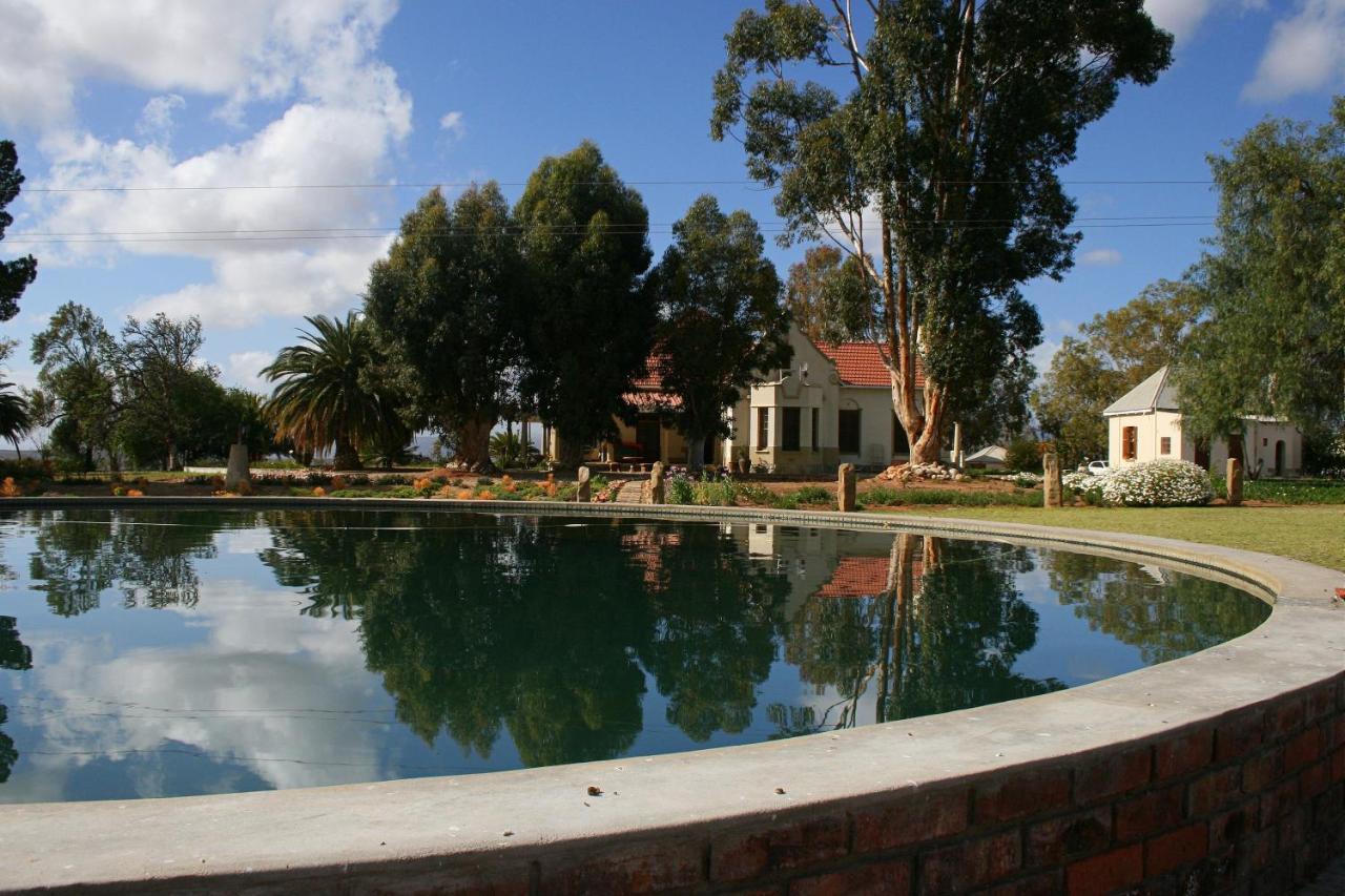 Rietfontein Ostrich Palace Vleirivier Экстерьер фото